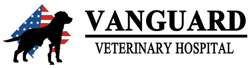 VANGUARD LOGO