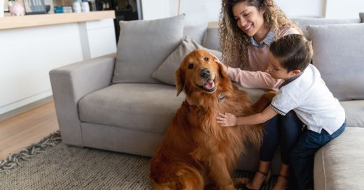 A person and a child petting a golden retriever dog on a couch.