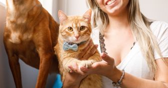 A person holds an orange cat wearing a blue bowtie while a brown dog stands next to them