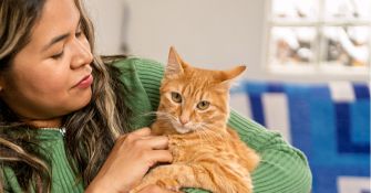 A person wearing a green sweater holds an orange cat while sitting