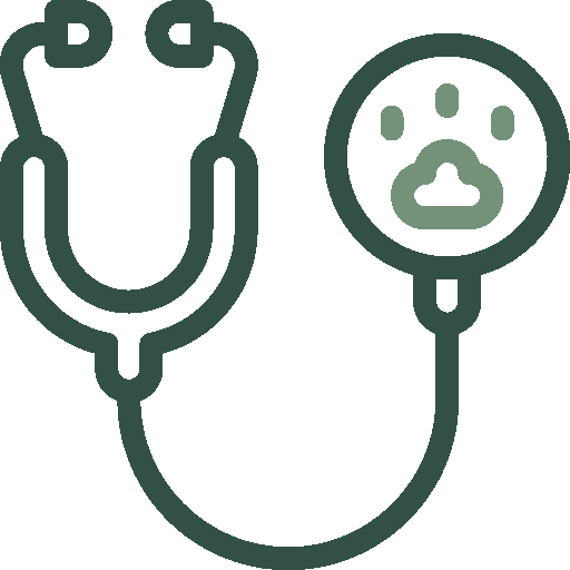 pet-checkup-icon