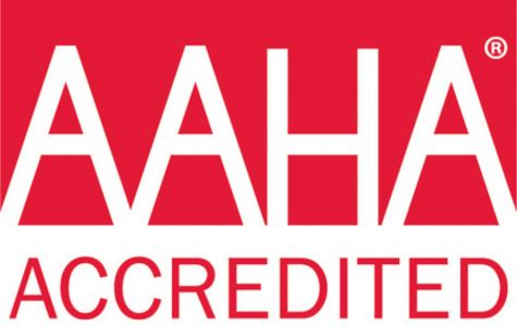 AAHA ACCREDITED logo