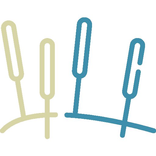 Acupuncture Care
