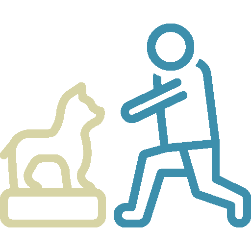 Pet Rehab