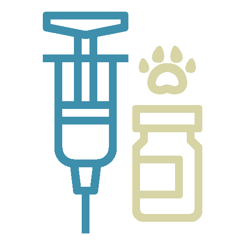 Safe Anesthesia